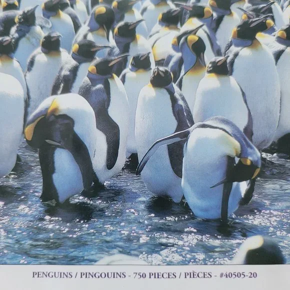 Jigsaw Puzzle 750pc NEW | Penguins - Picture 2 of 9